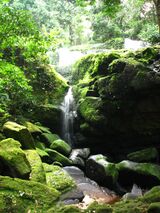 Waterfall ivindo gabon.jpg