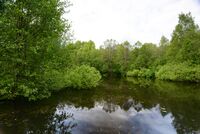 Петровский пруд.jpg