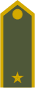 Army-SVK-OF-03.svg