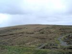 Ceide Fields Neolithic Site.JPG
