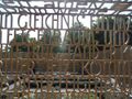 Christlicher Garten (10).jpg