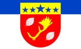 Флаг