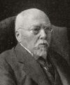 Georg von Hertling (cropped).jpeg