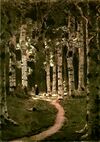 Kuindzhi Birch grove1 1880s.jpg