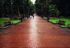 Park Franko in Lviv.jpg