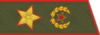 RAF A F9GenArmy after2013h.png