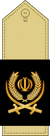 Brigadier General