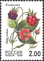 1998. Марка России 0451 hi.jpg