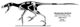 Bambiraptor feinbergi.jpg