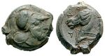 Cosa Mars horse 590003.jpg