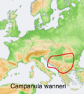 Distribution map Campanula wanneri.png