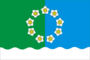 Flag of Vankovskoe (Perm krai).png