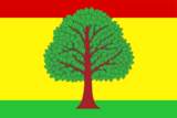 Флаг