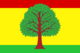 Flag of Vyaznikovsky District.png