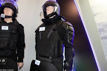 Interpolitex 2013 (537-18).jpg