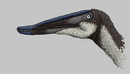 Lingyuanopterus Head Recon.png
