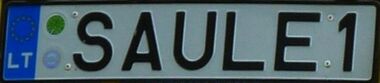 Lithuanian personalized license plate.JPG