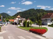 Луковица