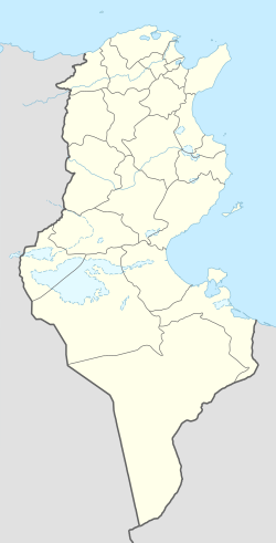 Могила Александра Манштейна (Тунис)
