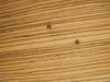 Zingana Holz.JPG