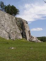 Арский камень - его кто-то отгрыз.JPG