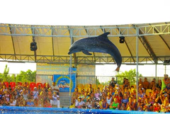 В бердянском дельфинарии.jpg