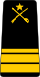 11.GLF-1LT.svg