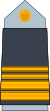 11. AAF-CAPT.svg