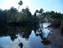 Econfina River SP river01.jpg