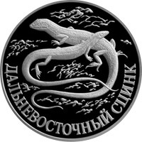 RR5109-0036R Дальневосточный сцинк.png