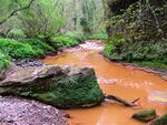 Saltburn Gill - geograph.org.uk - 163335.jpg