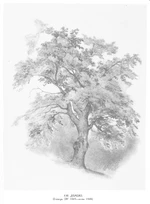 Taras Shevchenko painting 0130.jpg