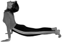 Urdhva mukha shvanasana.jpg