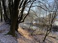 Wupper nördl. Mühlenberg.jpg