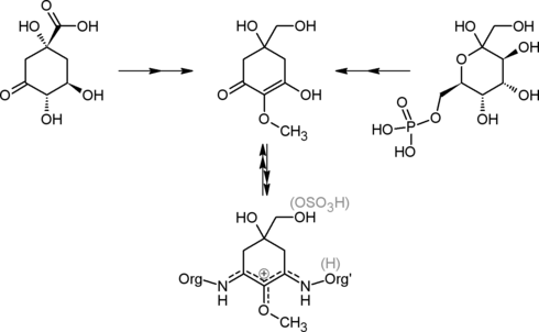 Пути биосинтеза микоспоринов