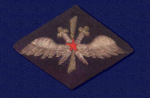 нз ввс 1934&nbsp;г.