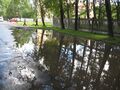 Лужа на ул. Седова - panoramio.jpg