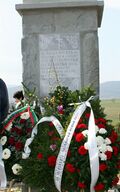 Паметник Петрич Мурта.jpg