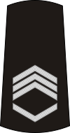 06-Serbian Navy-SSFC.svg