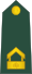 08-Slovenian Army-FSG.svg