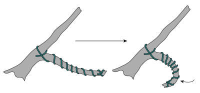 Bonsai wire.svg