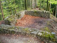 Burg kindhausen bergdietikon 8.jpg