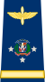 Capona teniente general fuerza aerea.svg