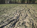 Erosion Netzwerk032.jpg