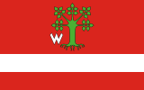 Флаг