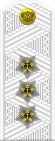 Russia-Navy-OF-8-1994-white.svg