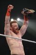 Sheamus US Champion 2014.jpg