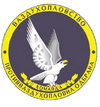 VP i PVO VRS.png