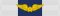 Vietnam Air Gallantry Cross Gold Wing ribbon.svg