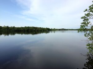 Leibyjärvi